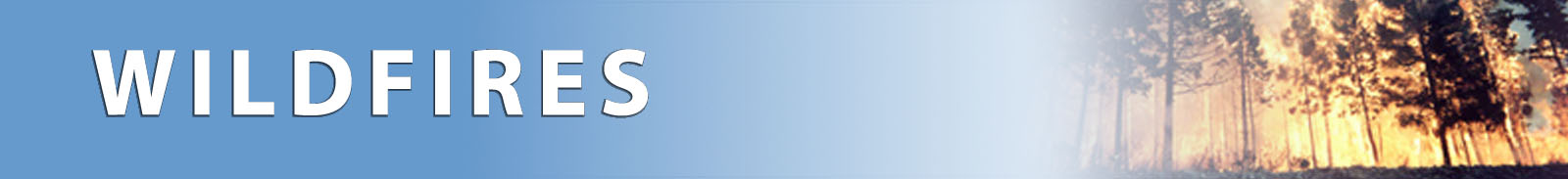Wildfire Banner